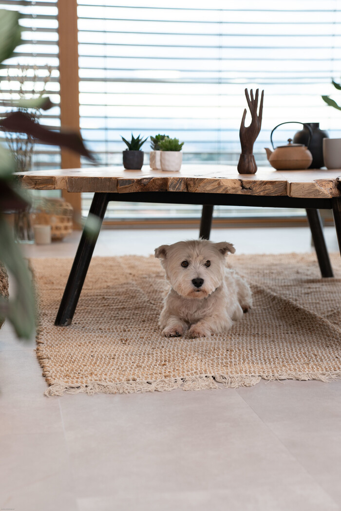 Virtuo Clem Around The Corner tendance minimaliste