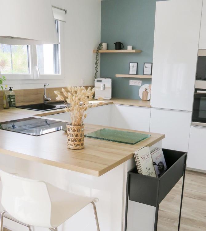 orchidee home orchidee home